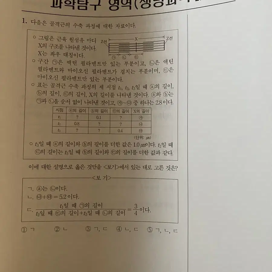 대치 윤도영 생1 현강 테스트 모고 실모 대량