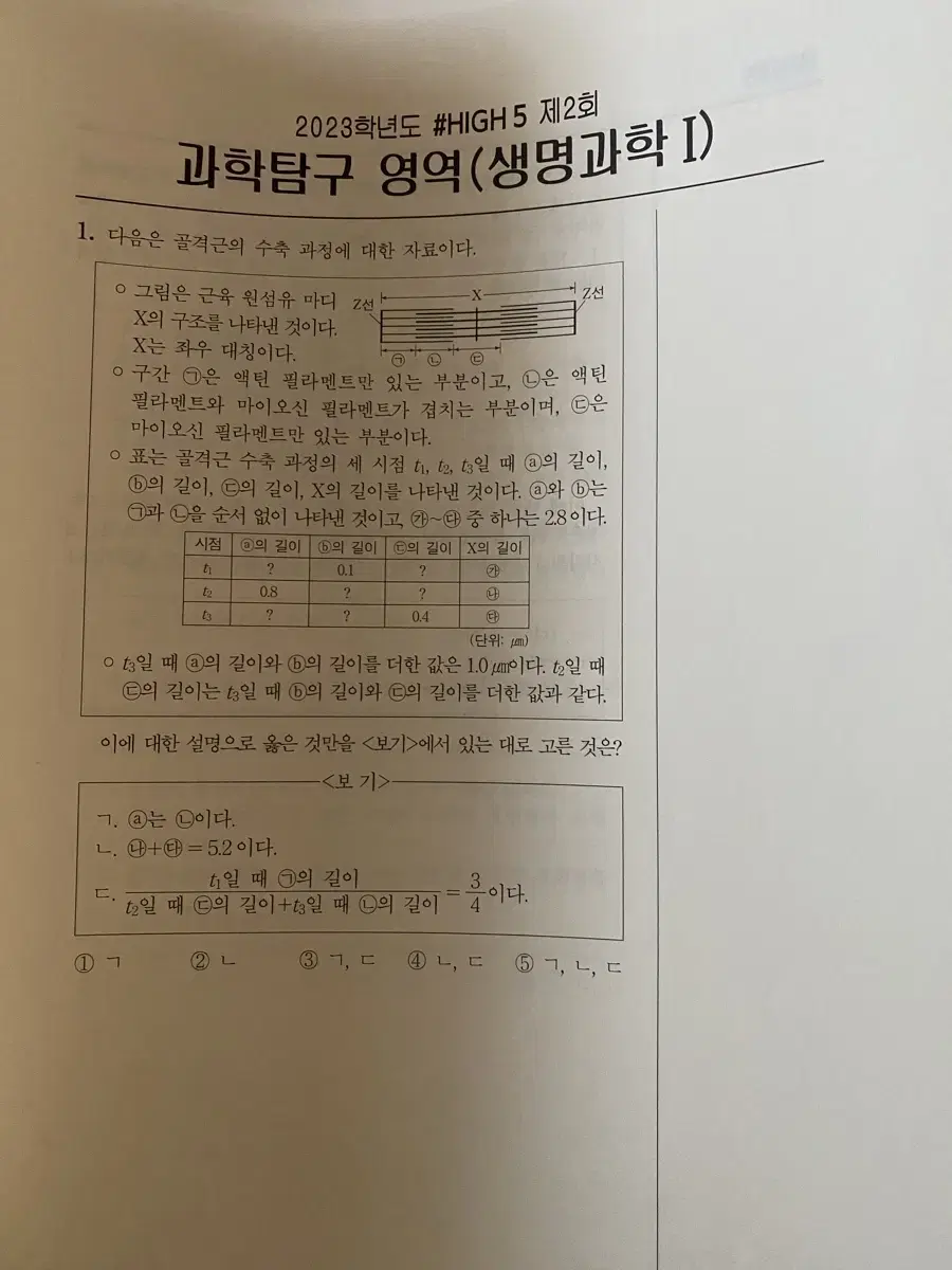 대치 윤도영 생1 현강 테스트 모고 실모 대량