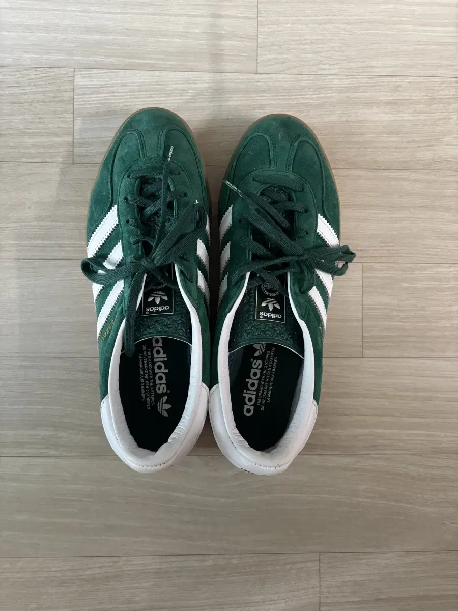 Adidas Gazelle Indoor Collegiate Green