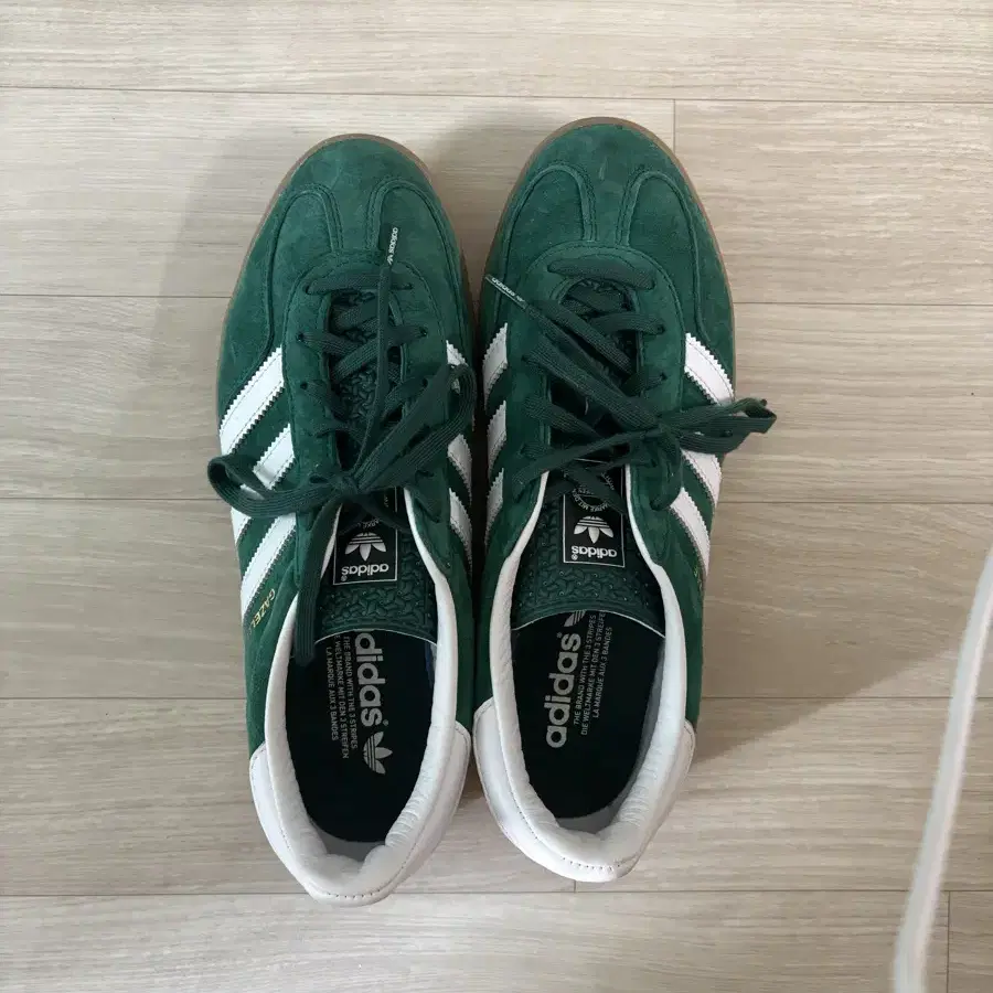 Adidas Gazelle Indoor Collegiate Green