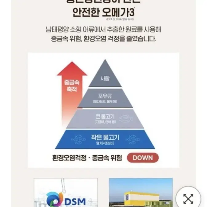 종근당 프로메가 알티지오메가3 비타민D