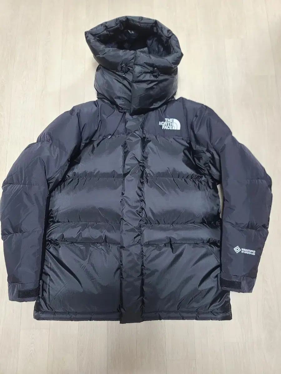 The North Face NJ1DQ53A Men's 1994 Retro Power Down Parka Padded