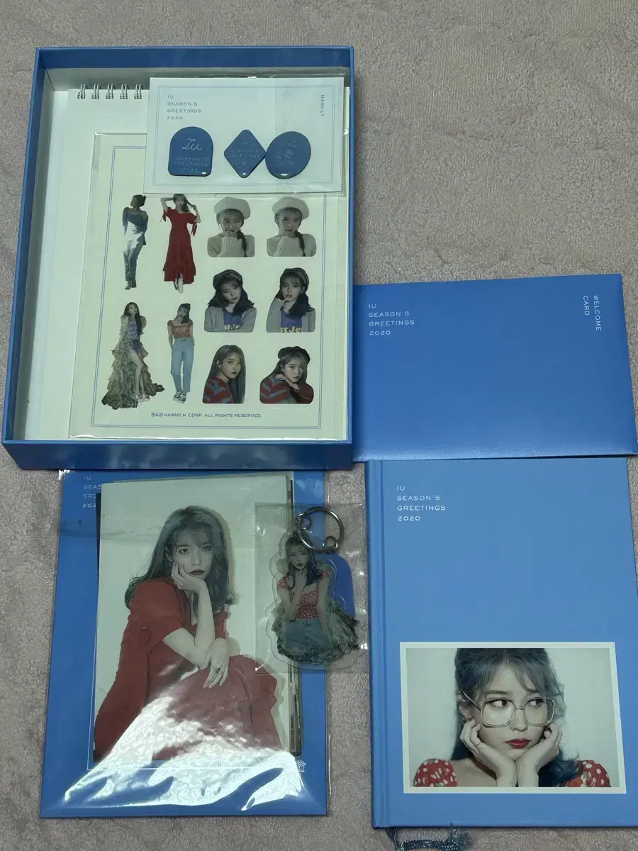 IU 2020 seasons greetings WTS