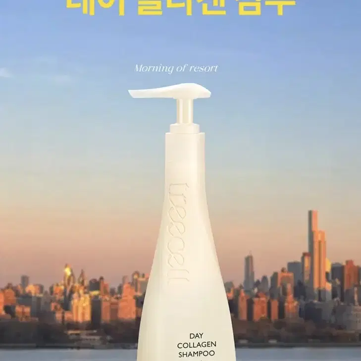 트리셀 데이 콜라겐 샴푸 모닝 오브 리조트 360 ml  미개봉 새상품