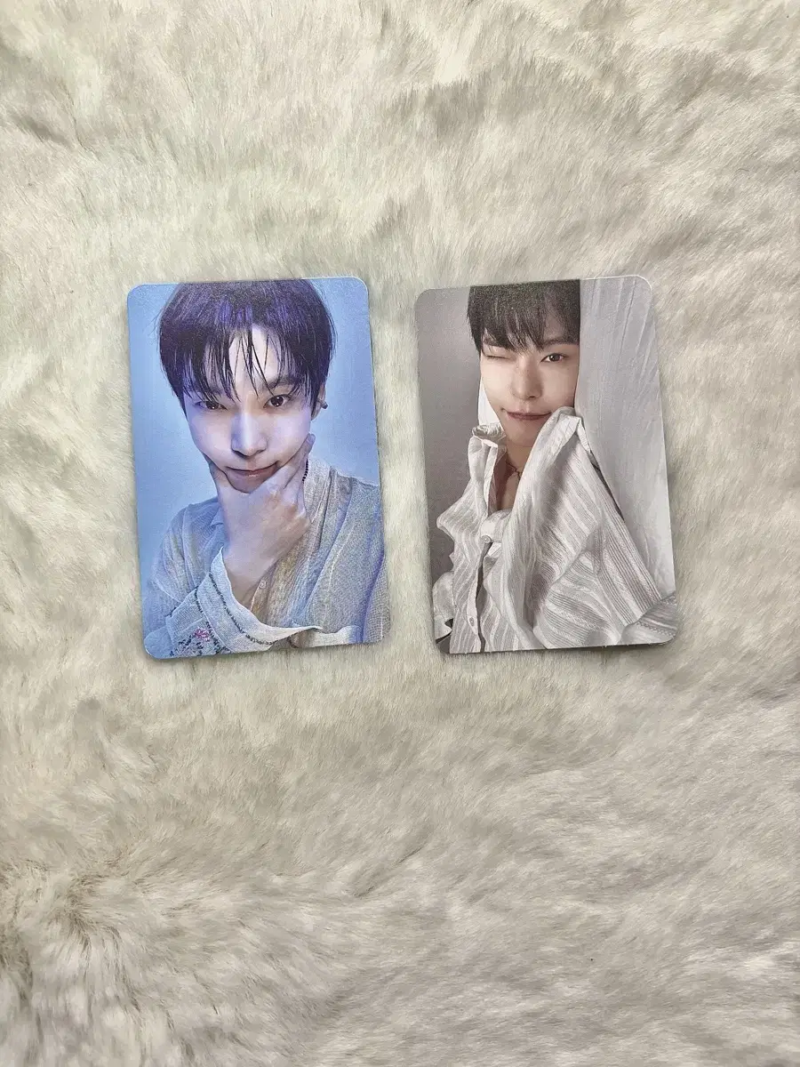 nctdoyoungkim dongyoungphotocardnct127perfumeDojeongjae alpo