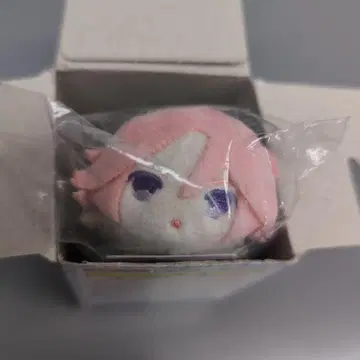 호박 떡모찌마 스캇미니 마마