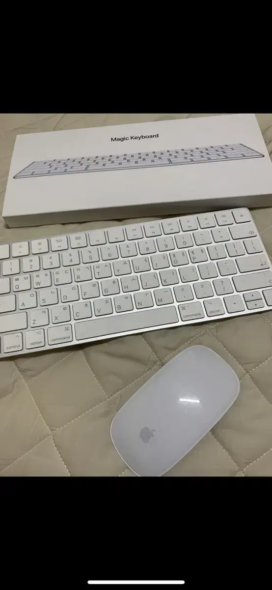 Mac Keyboard Mouse