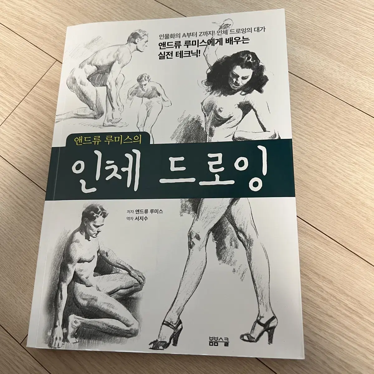 앤드류 루미스 인체드로잉