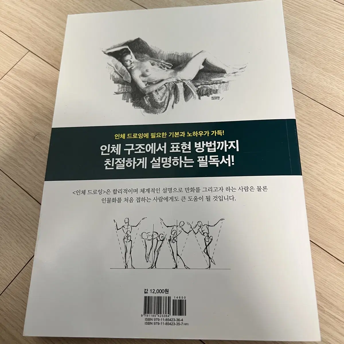 앤드류 루미스 인체드로잉