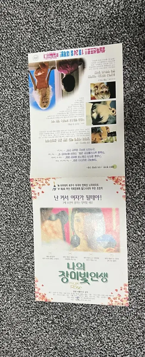 영화 나의장미빛인생(1998) 전단지