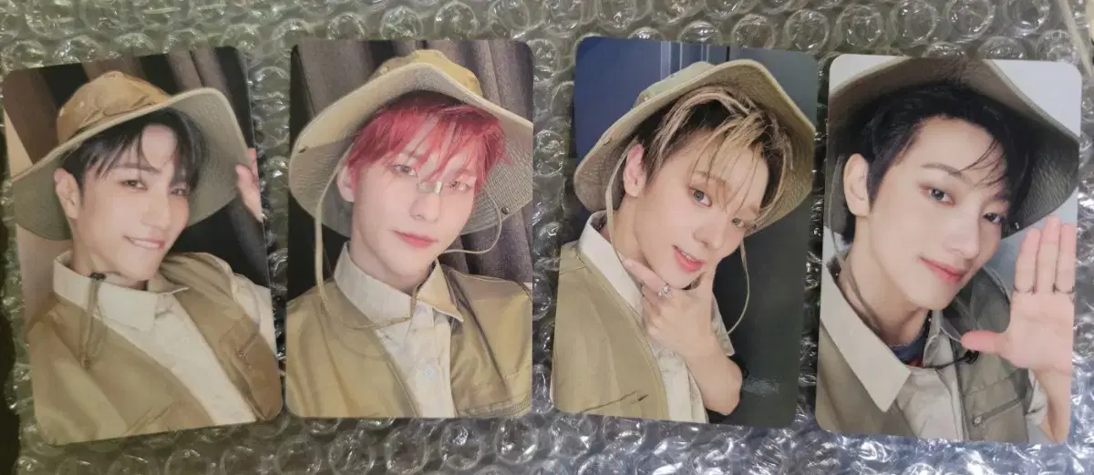 VANNER vanner safari photocard set