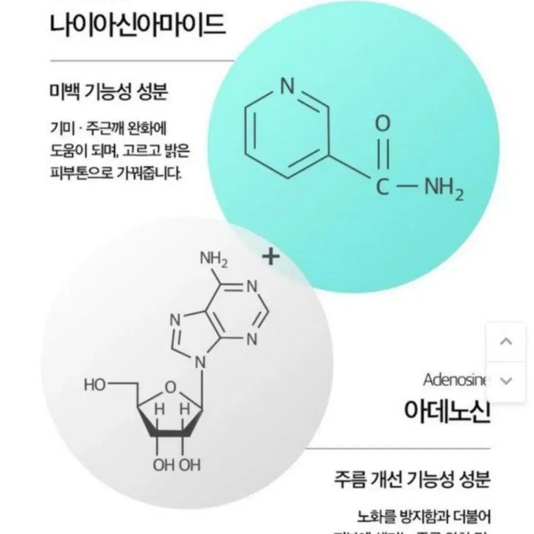 연어앰플크림