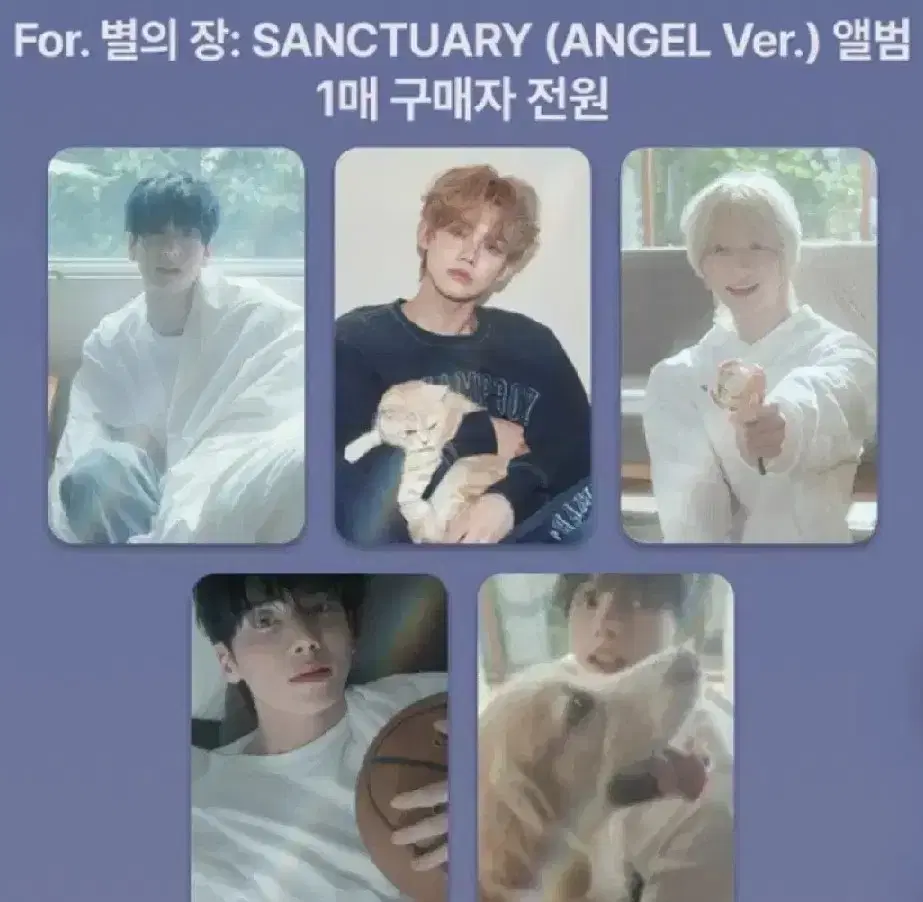 buncheol) txt Sanctuary makestar pre-order benefit Hooning