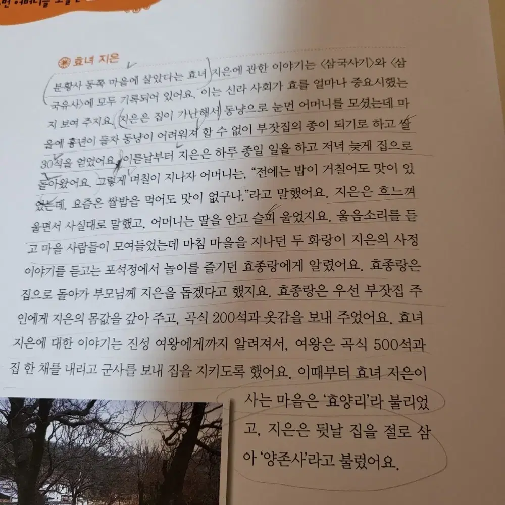 힘찬유사사기 전집