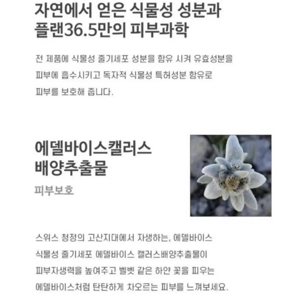 (무료배송) 24k 골드펩타이드 안티에이징 세럼