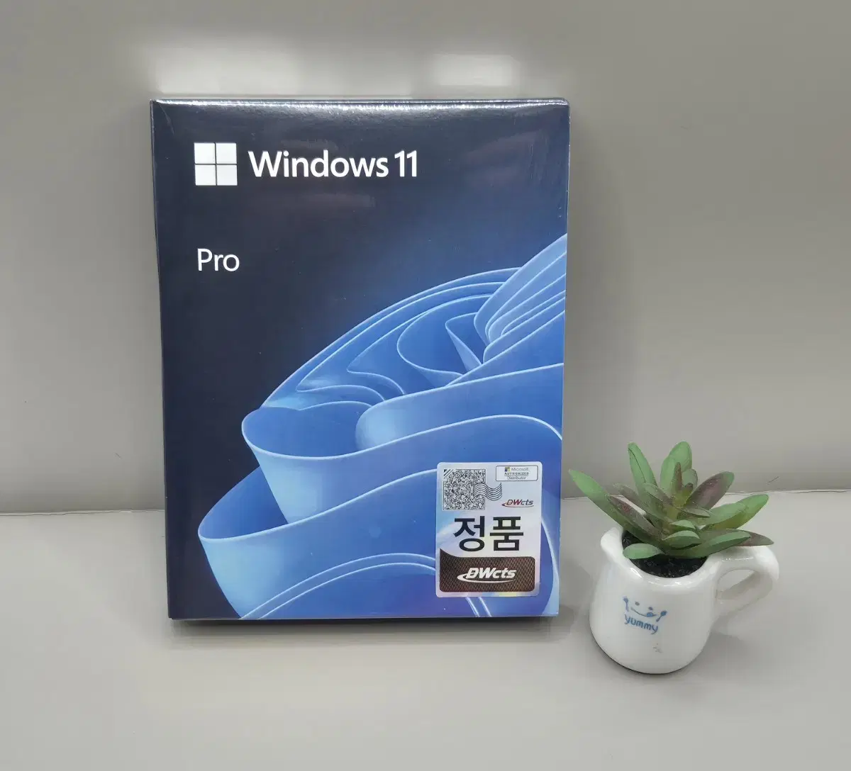 Windows 11 Pro FPP First Time User PCTransferable (USB, key card)