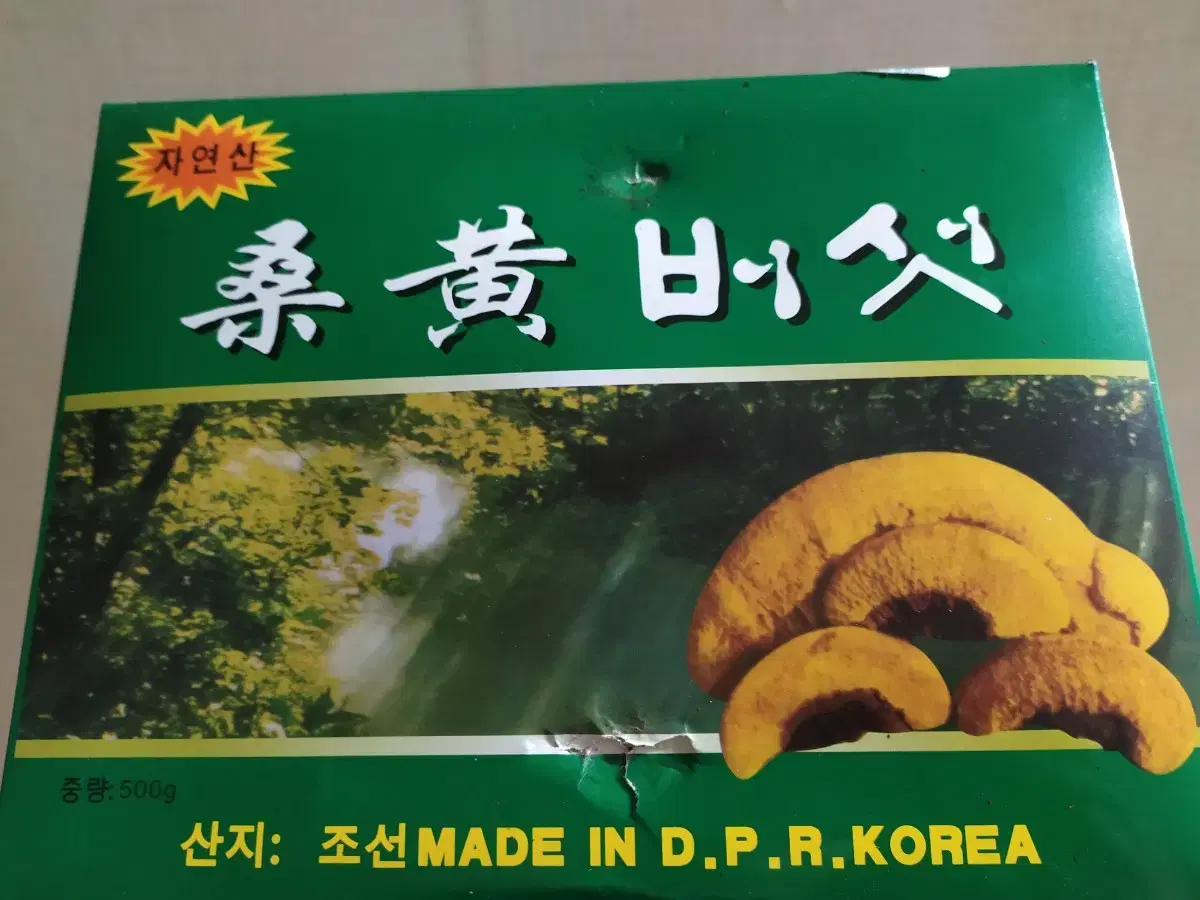 북한 상황버섯