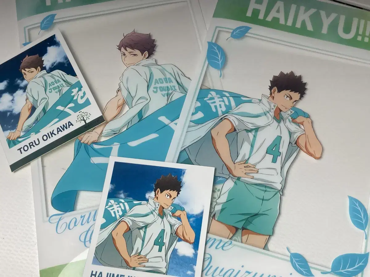 Haikyuu Oikawa Toru,Iwaizumi Hajime Minifile