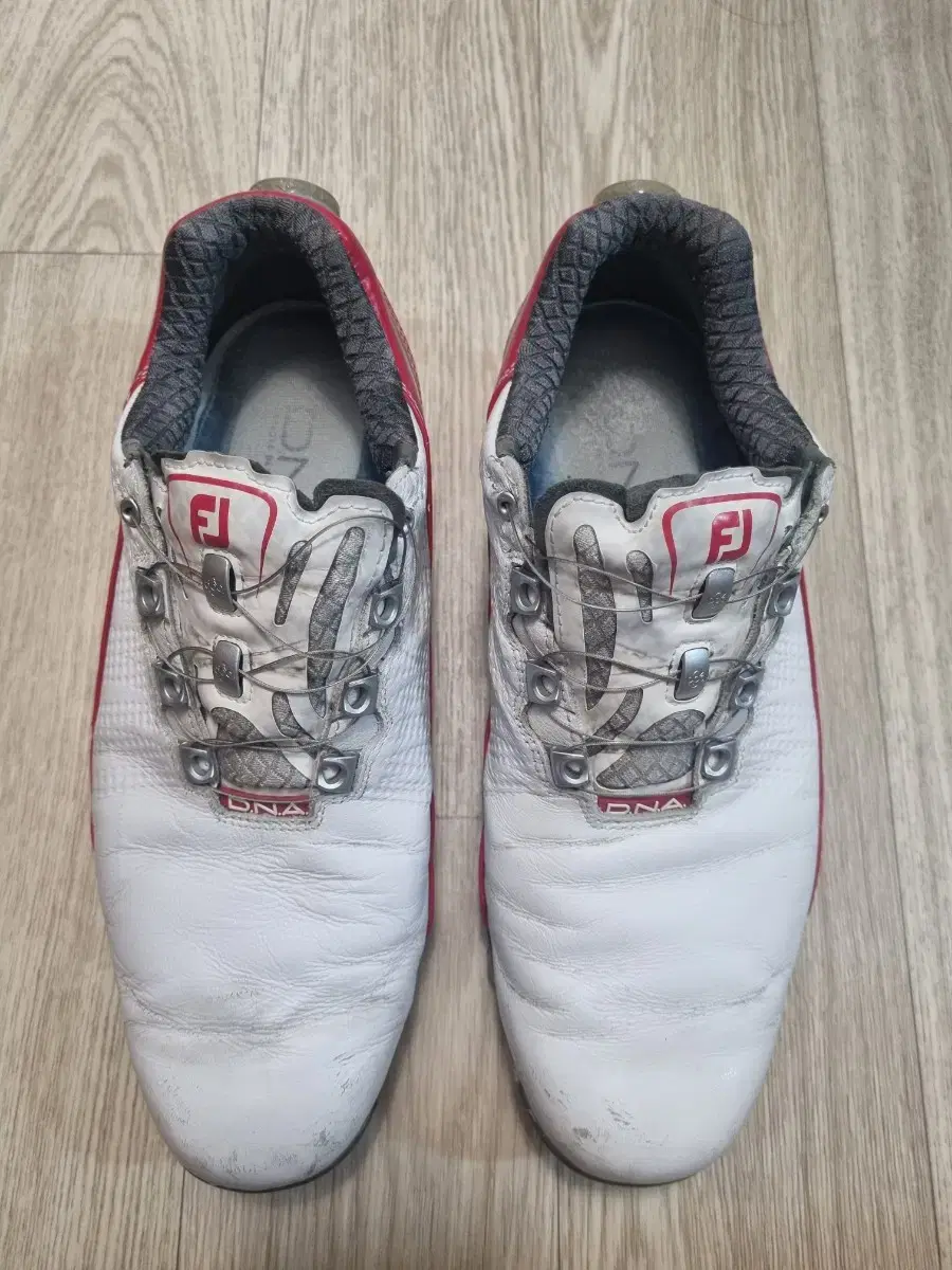 Footjoy DNA Golf Shoes