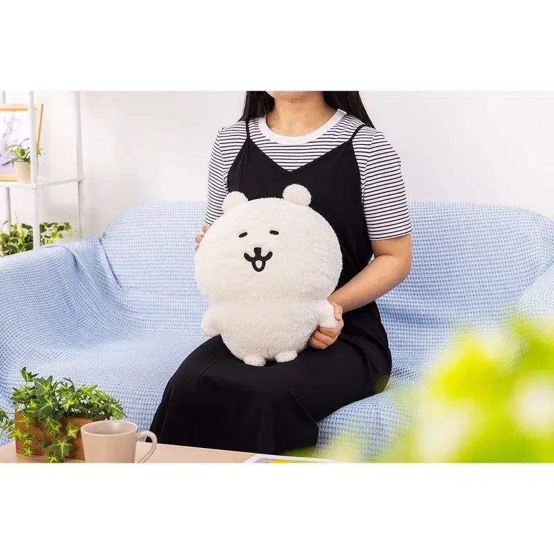 [구매] 미개봉 나가노 곰 후와 모찌 인형 농담곰 담곰이