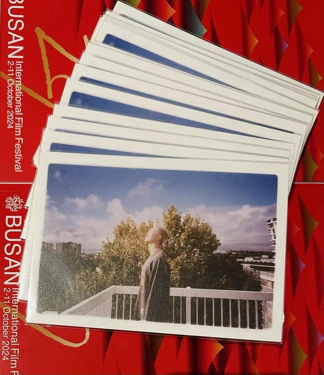 Jun Nam RM Busan International Film Festival rm Busan International postcard BIFF