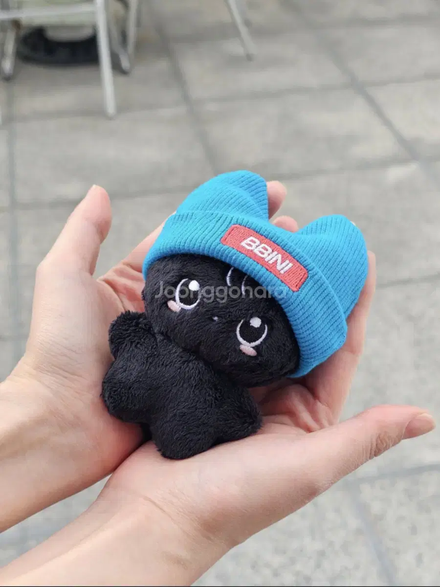 @pindamcat+beanie wonbin doll wts below cost