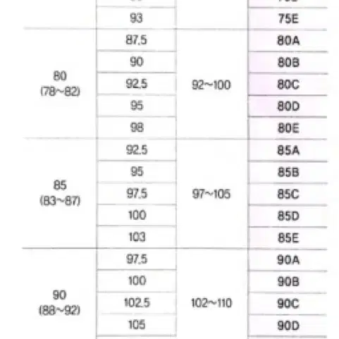 브리스코리아 바디슈트 블랙 100B