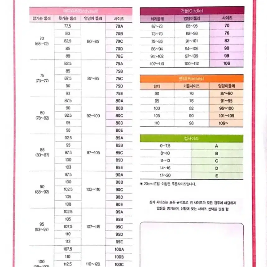 브리스코리아 바디슈트 스킨 95B