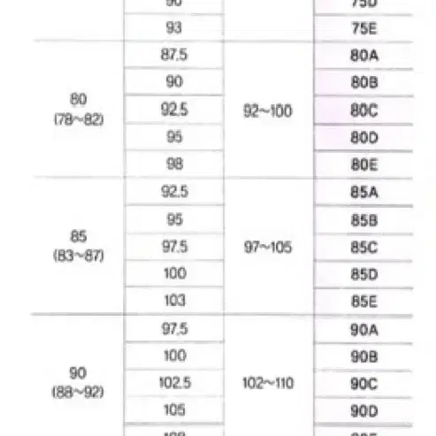 브리스코리아 바디슈트 블랙 95B