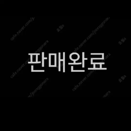 콘스탄틴 드래그 2018 대차/판매