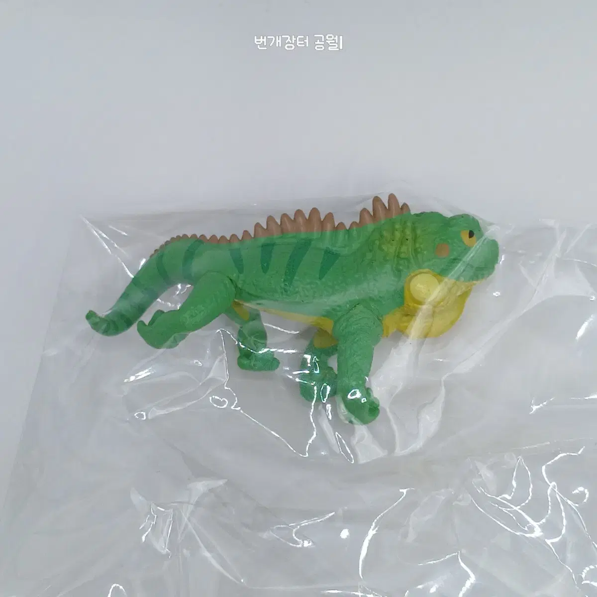 Gacha Iguana, a cute reptile figure that sticks anywhere