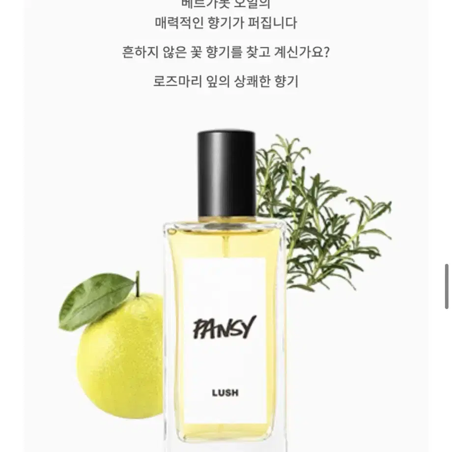 (가격내림)러쉬 팬지 30ml 새상품