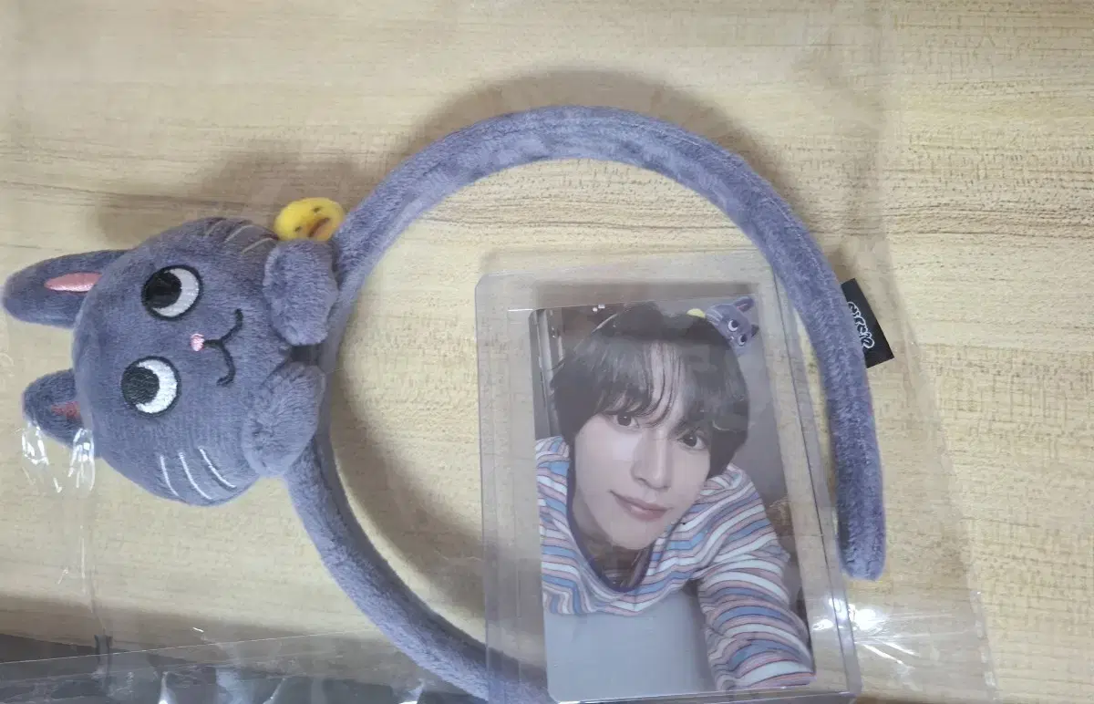 Rize wonbin Everland Everrise Headband photocard WTS