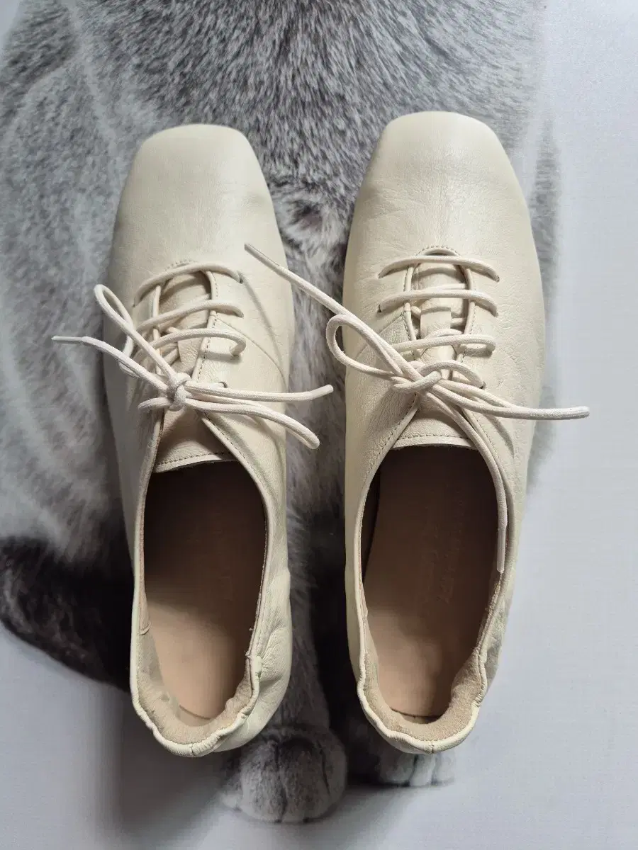 Youngbridge Sheepskin Oxford Shoes