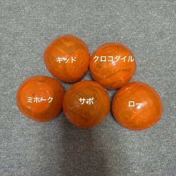 원피스의 열매 제18차 해전