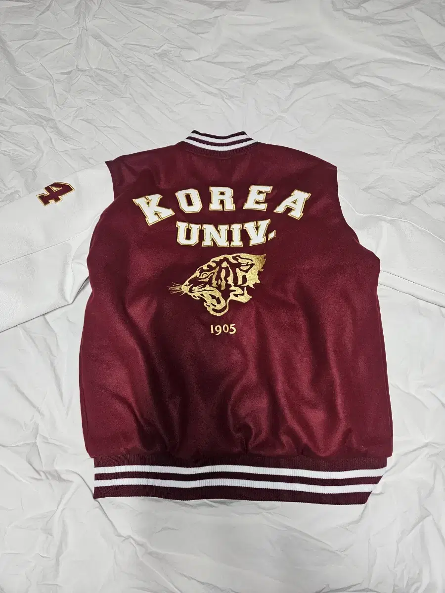 Korea University GuajamXL