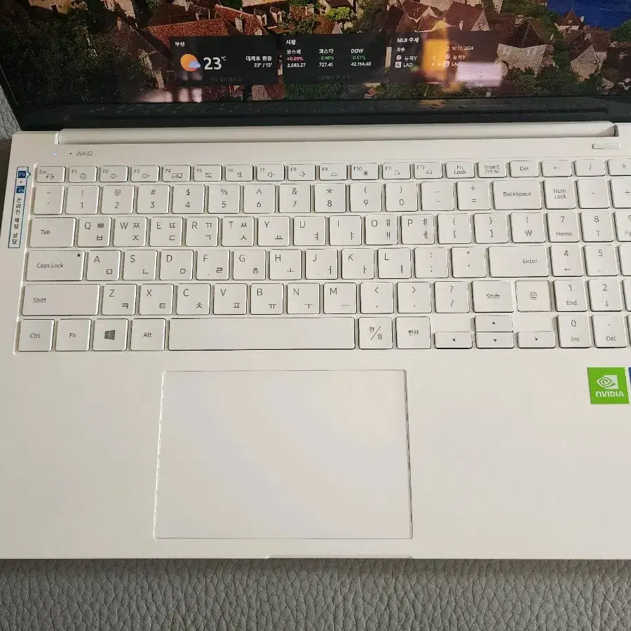 삼성 노트북 갤럭시북 이온2 NT950XDA-X71AW