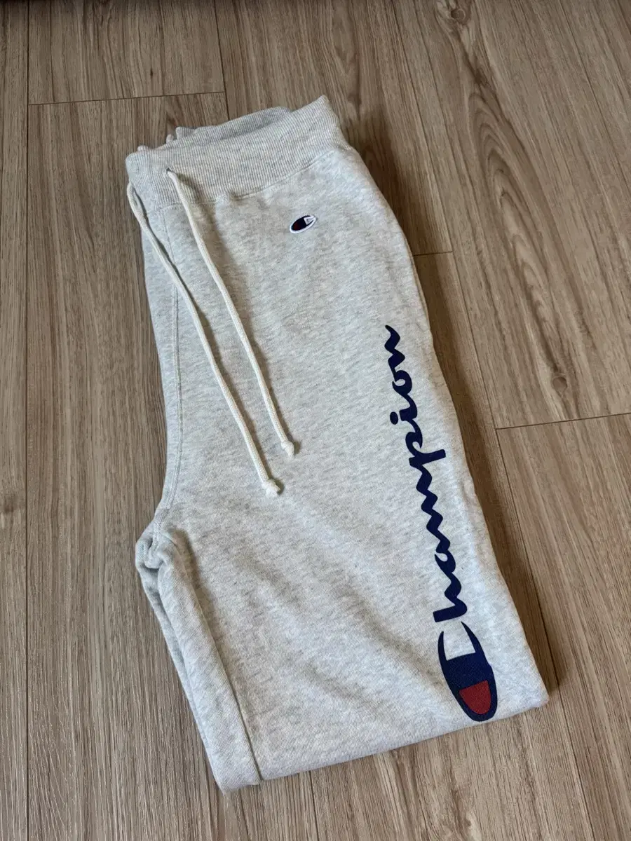 champion training pants xl