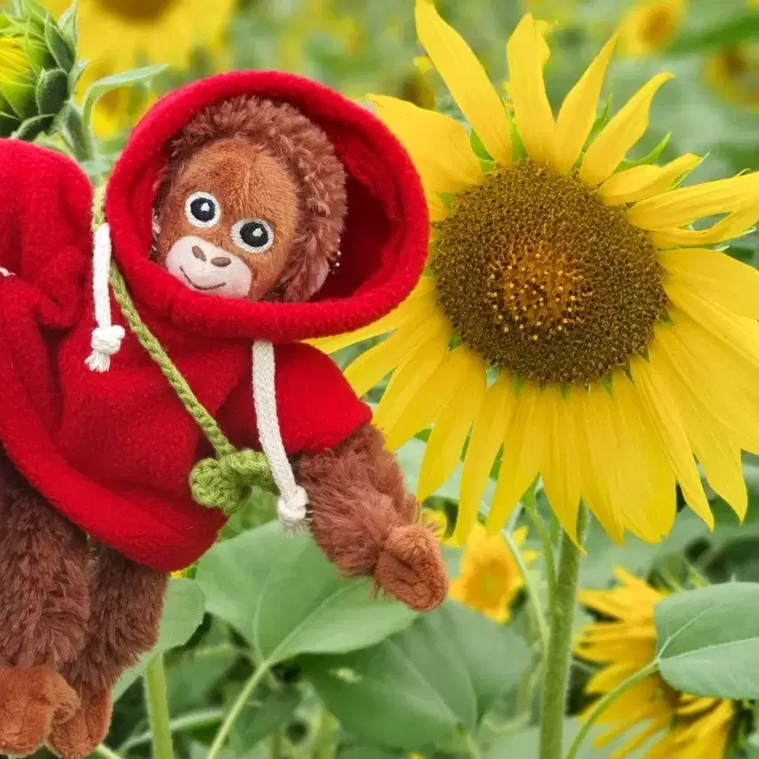 (사은품 증정) 오숭이 / 오랑이 미니인형 키링