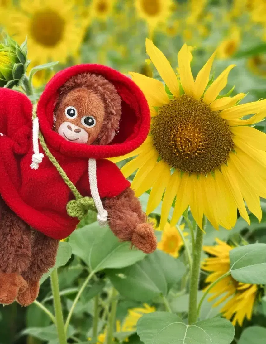 (사은품 증정) 오숭이 / 오랑이 미니인형 키링