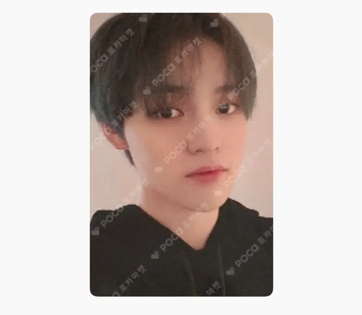 Reload kihno photocard WTS