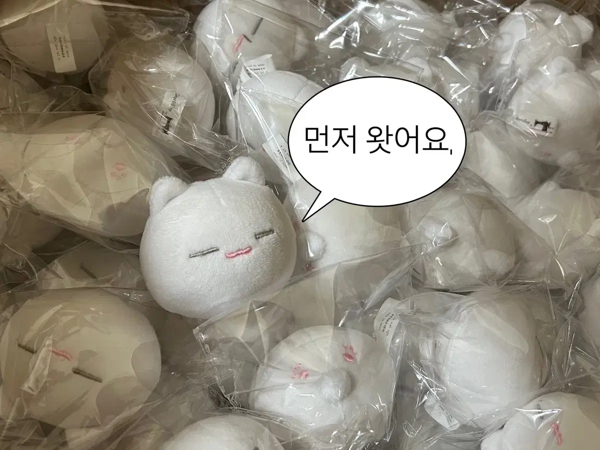 (Unsealed) (with pre-order benefit) (Zuurzeit) Spiky Stress Ball seventeen Doll