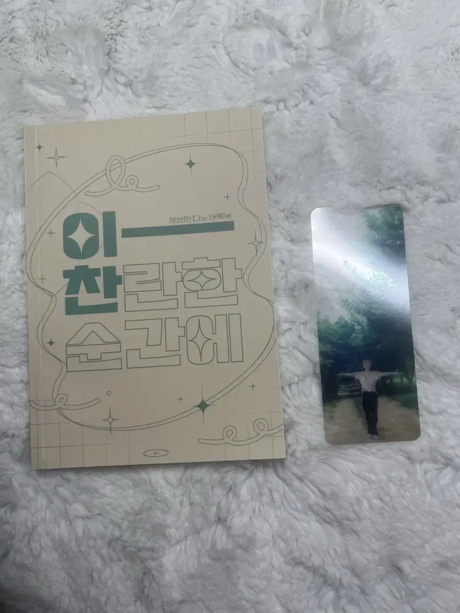 Seventeen dino record book wts in this chan moment