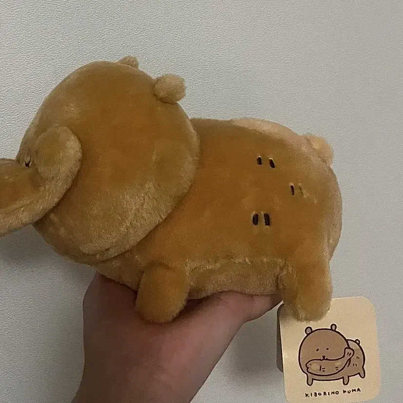 농담곰 목각곰