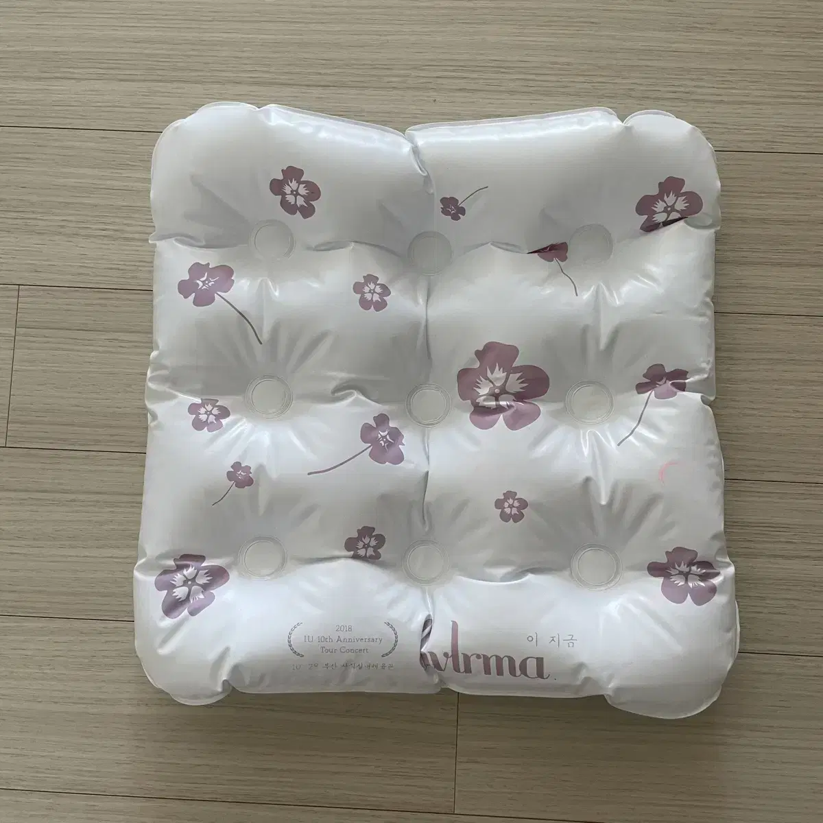 IU 10th Anniversary E.J. Keum Busan Concert Cushion