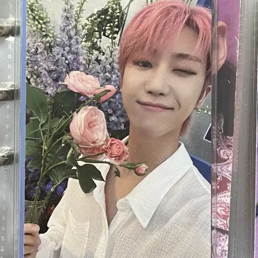 세븐틴 디에잇 SECTOR17 알라딘 특전 포카 양도