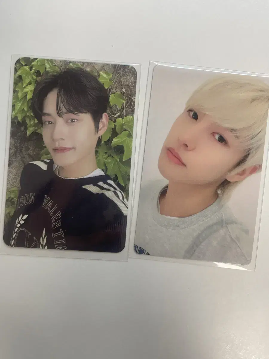 zb1 nct dream photocard wts jiung fankit yizhiyu yongtong renjun