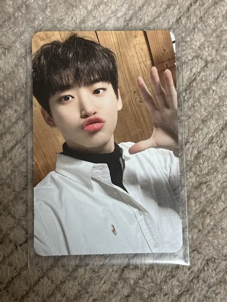 Cravity Cravity Photo Card photocard wts koo jungmo seasons greetings pre-order benefit 2022