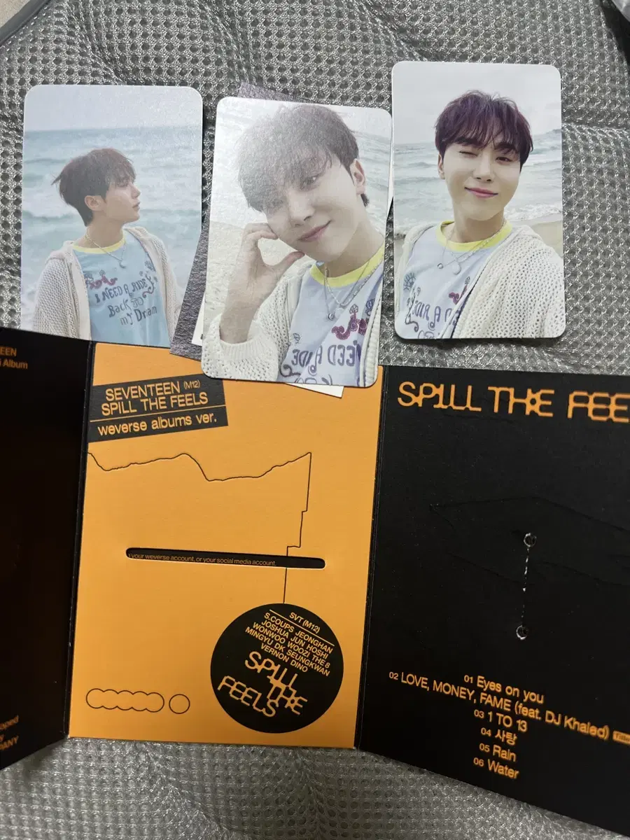 Seventeen Weavers vahn seungkwan sells