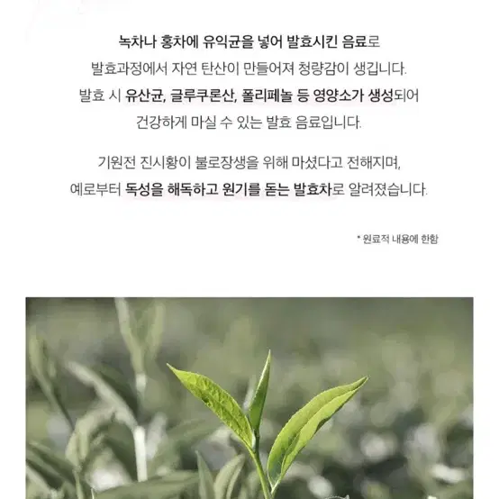 뷰니스 콤부차 샤인머스캣